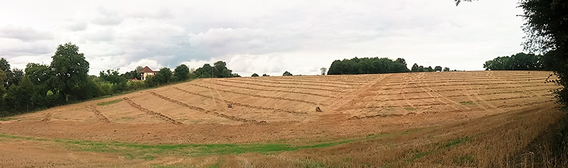 panoramique drainage